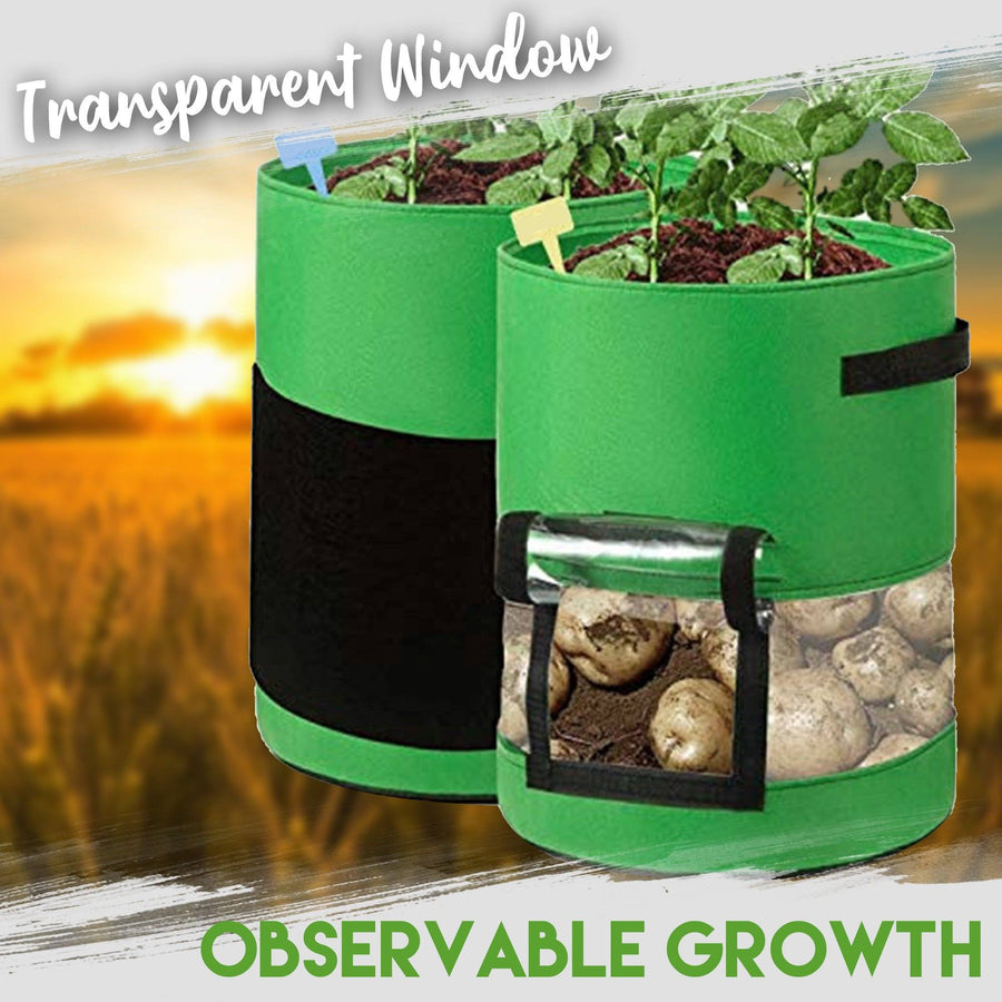 Transparent Visible Potato Planter