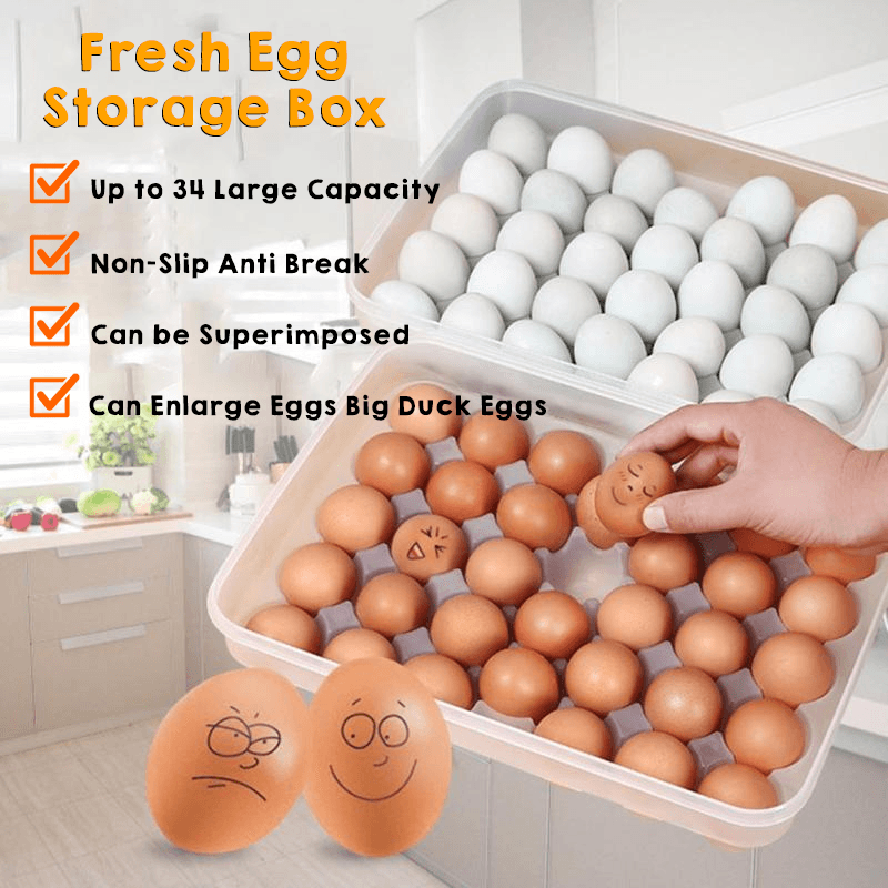 Creative Fresh Egg Storage Box