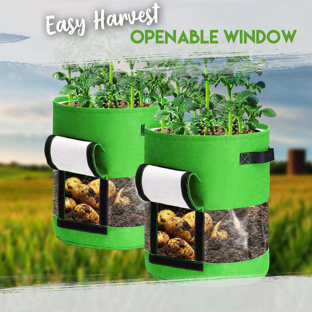 Transparent Visible Potato Planter