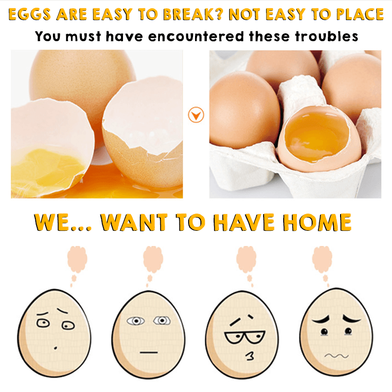 Creative Fresh Egg Storage Box