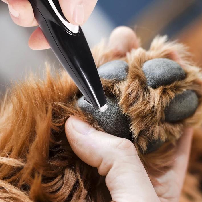 EasyGroom™ Electric Pet Grooming Trimmer (Low Noise, Wireless)