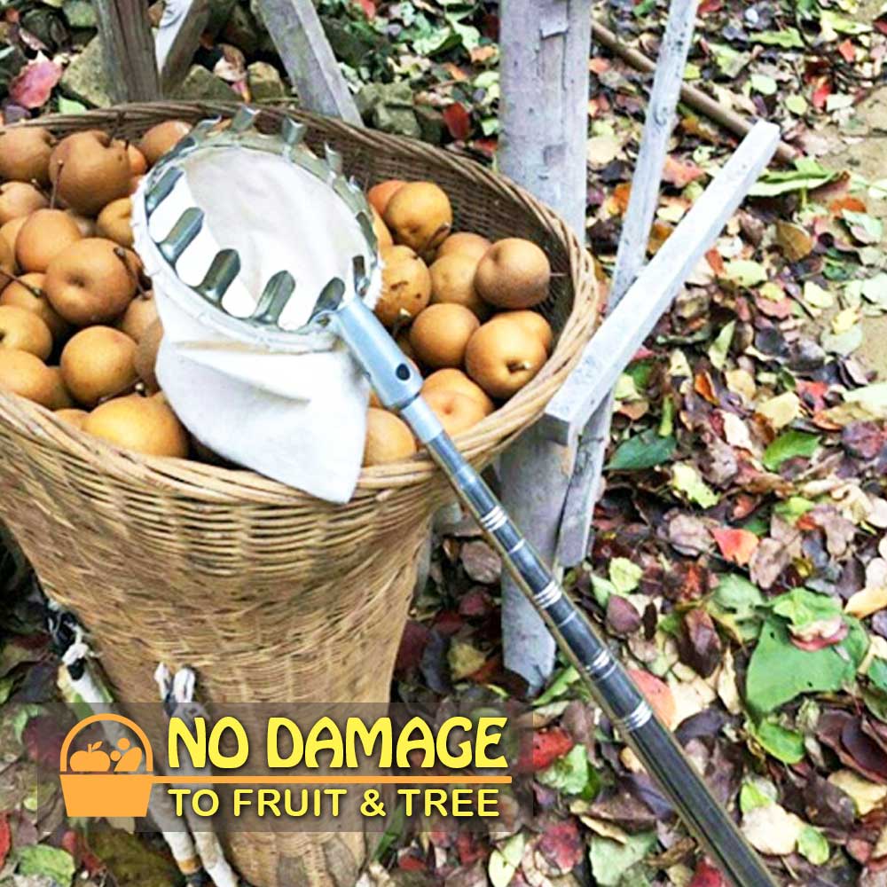 Stainless Steel Fruit Picker Basket