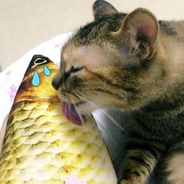 Cat Wagging Fish Realistic Plush