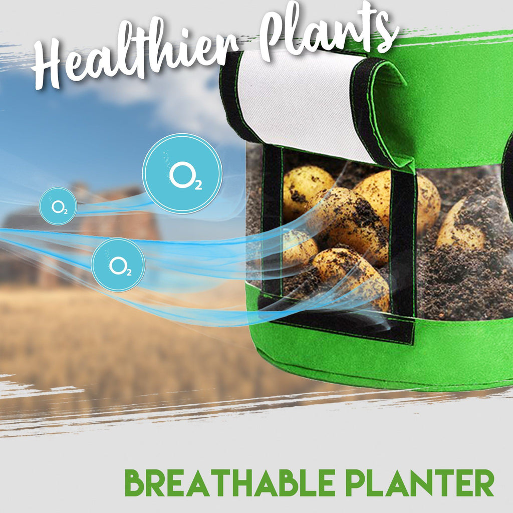Transparent Visible Potato Planter