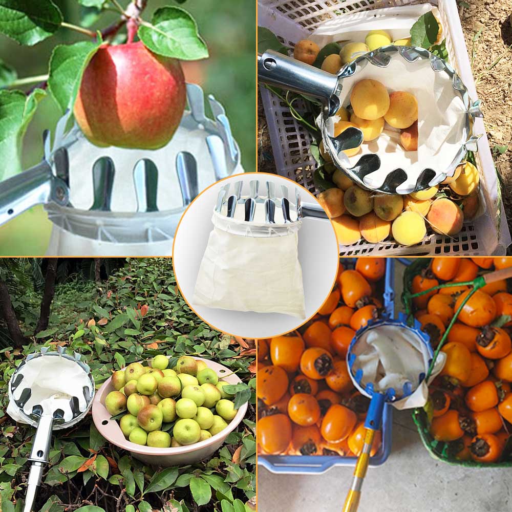 Stainless Steel Fruit Picker Basket