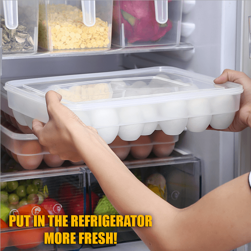 Creative Fresh Egg Storage Box