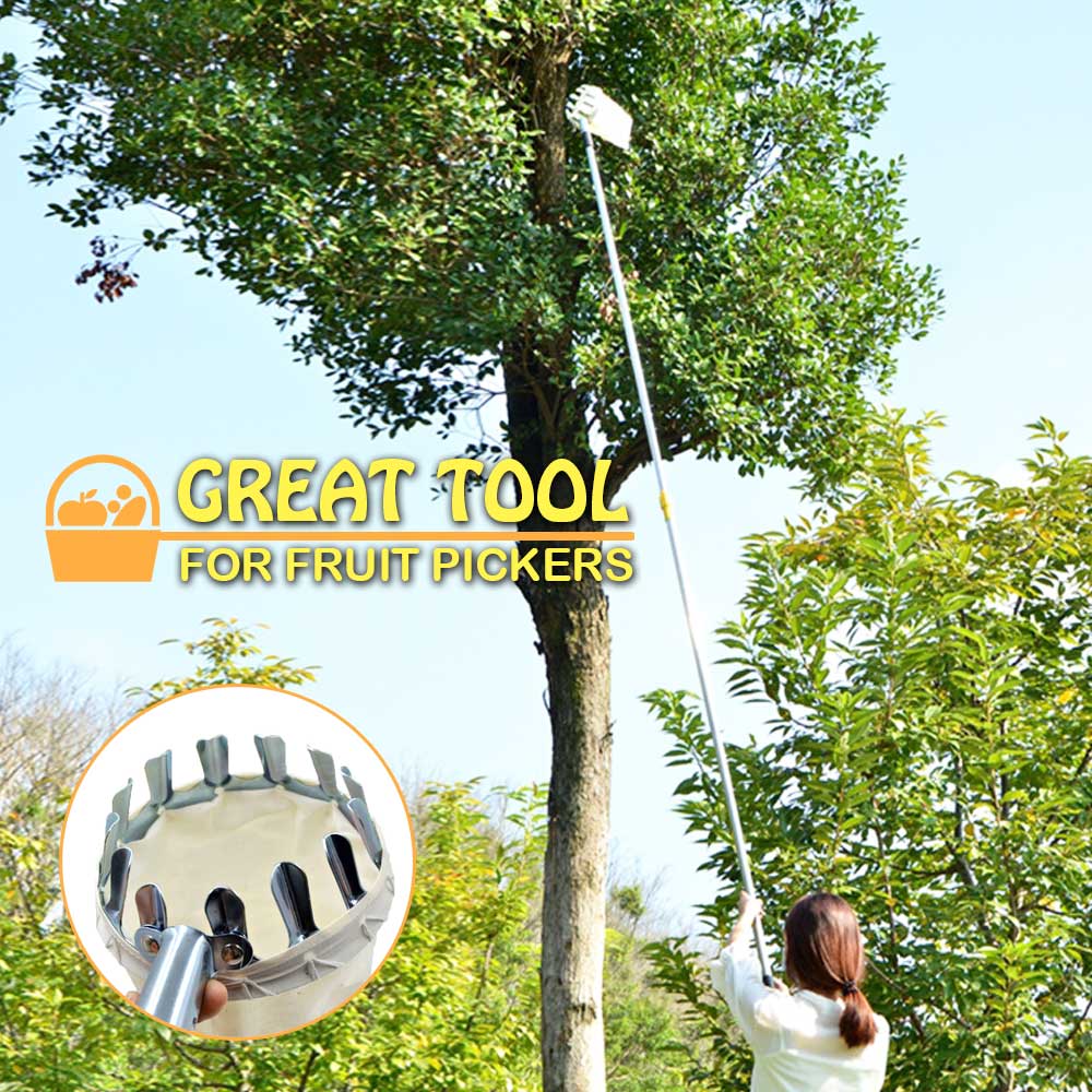 Stainless Steel Fruit Picker Basket