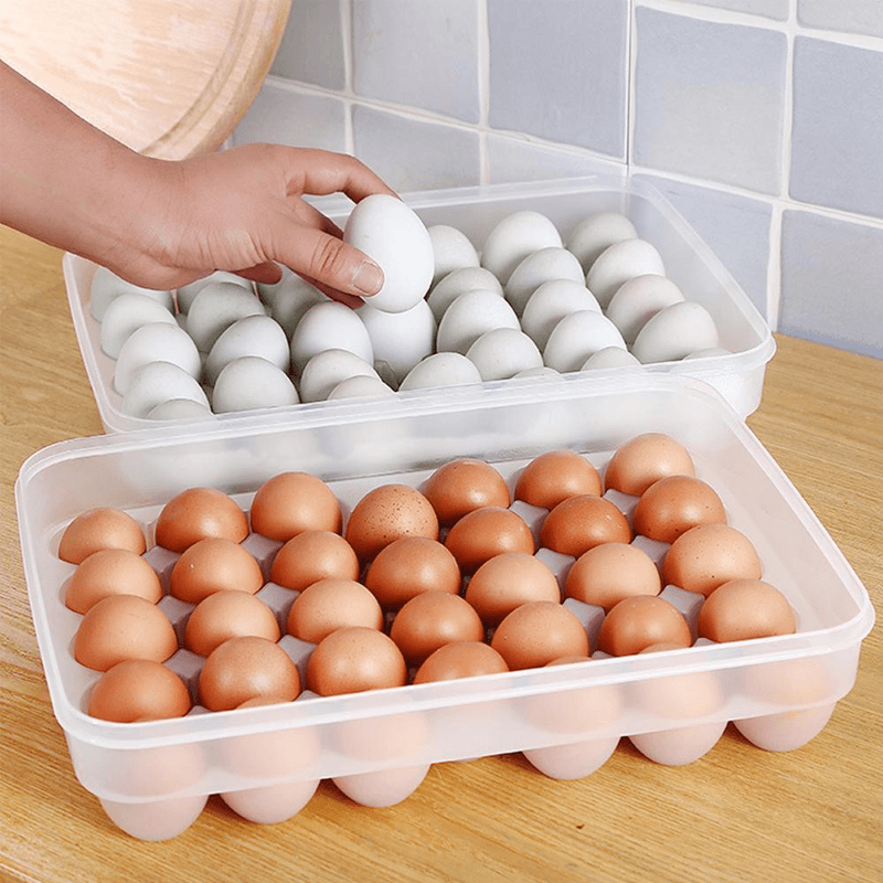 Creative Fresh Egg Storage Box