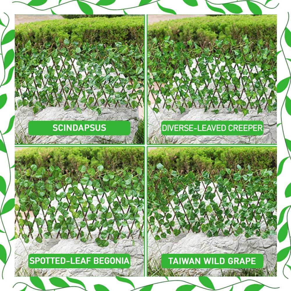 Retractable Garden Plant Fence