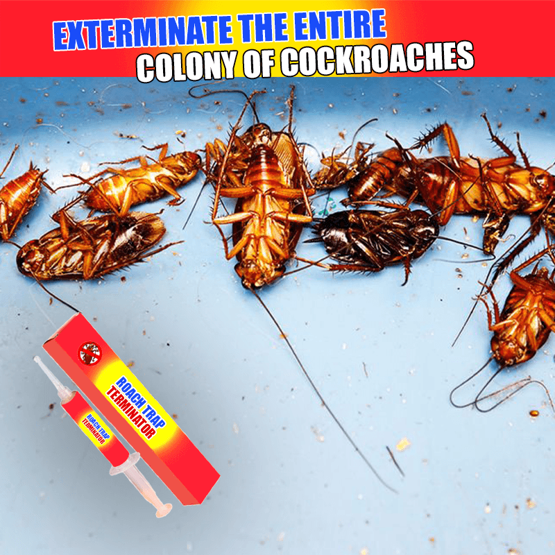 Roach Trap Terminator