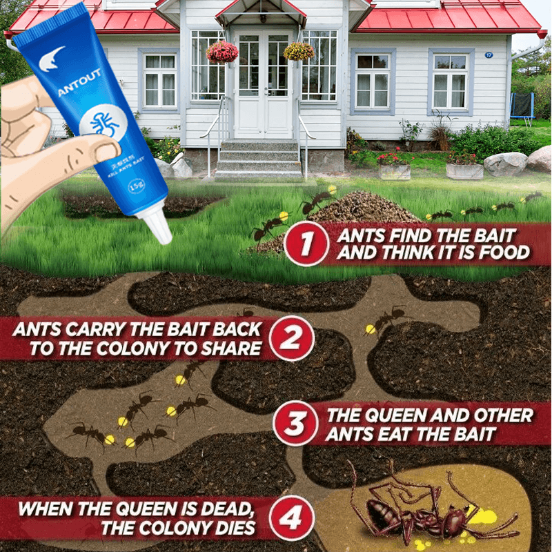 Anti Ant Bait