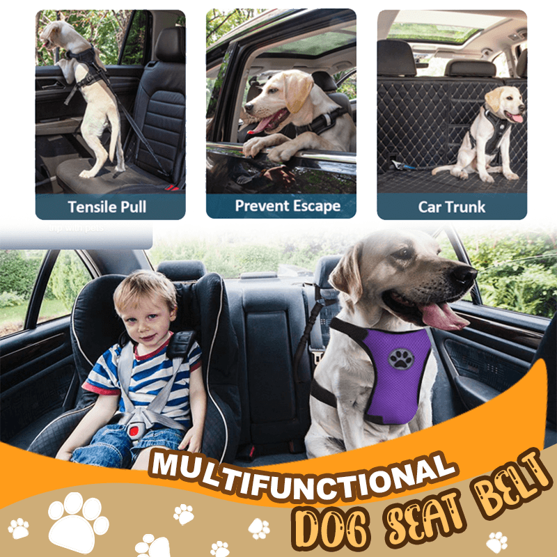 Adjustable Elastic Pet BFF Car Seat Belt