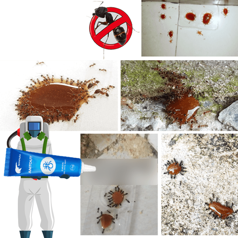 Anti Ant Bait