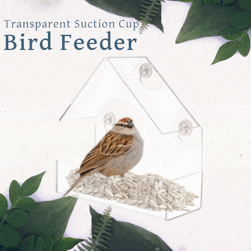 Transparent Suction Cup Bird Feeder
