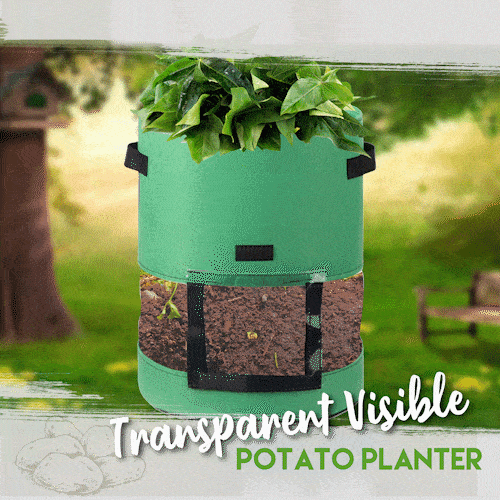 Transparent Visible Potato Planter