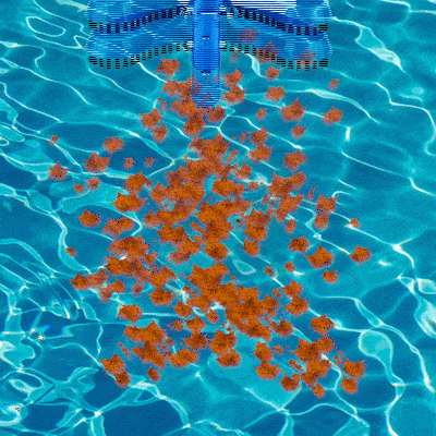 Under Pool Vacuum Brush Cleaner