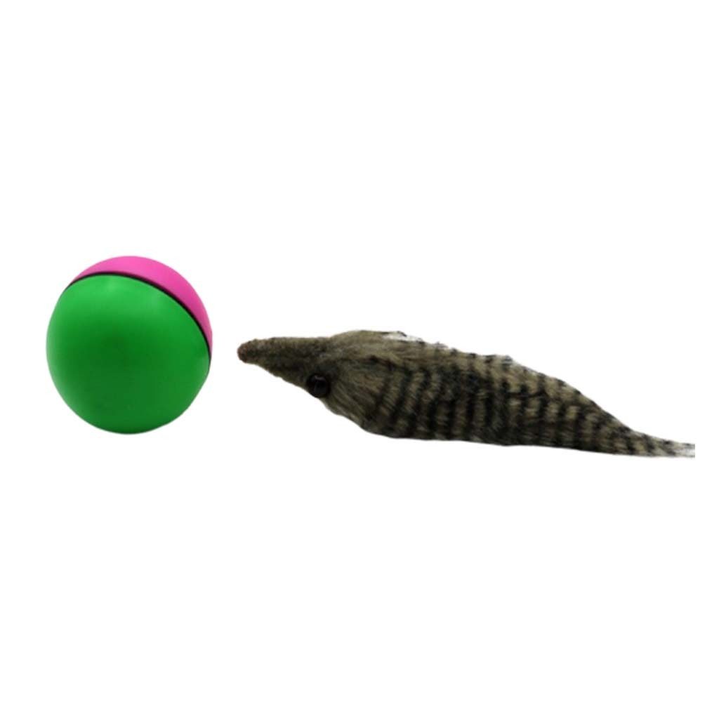 BeaverBall™ Interactive Pet Toy