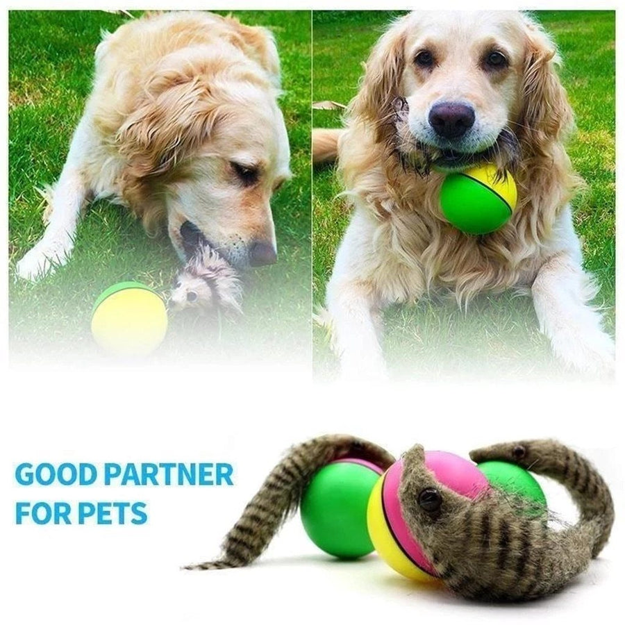 BeaverBall™ Interactive Pet Toy