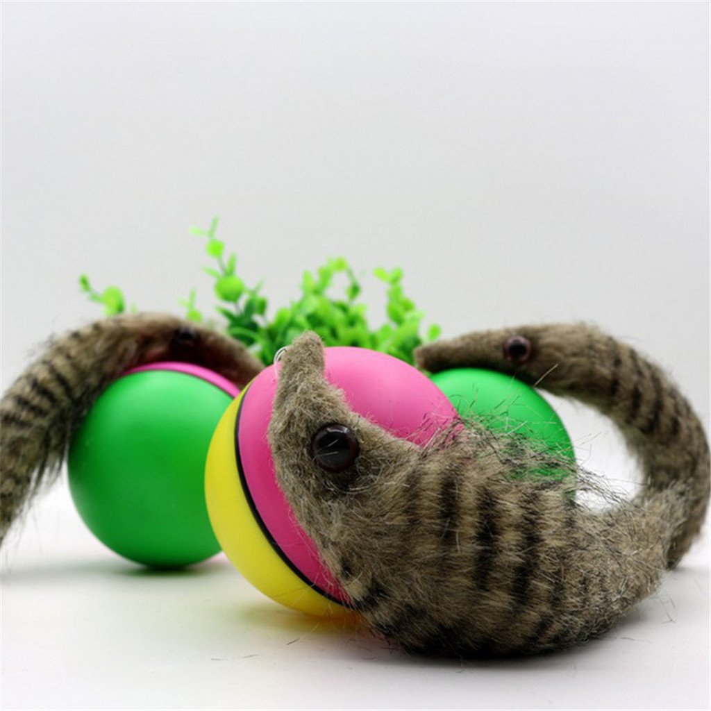 BeaverBall™ Interactive Pet Toy