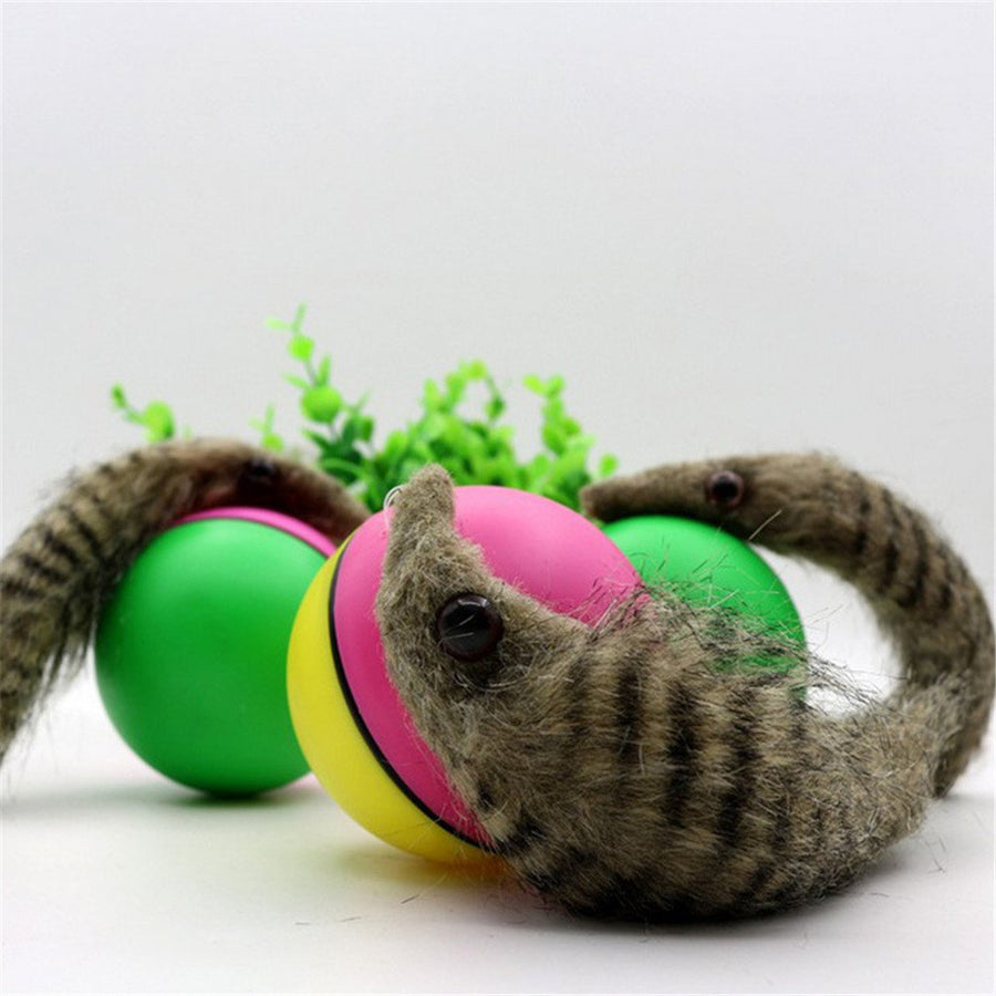 BeaverBall™ Interactive Pet Toy