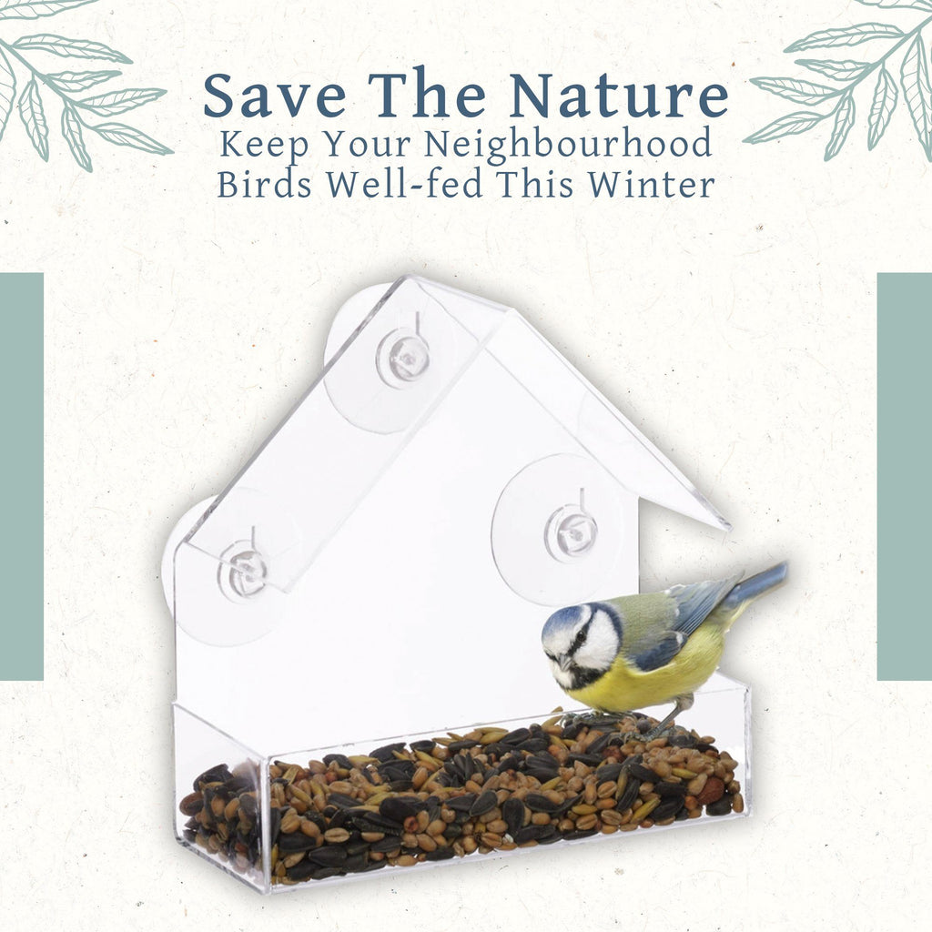 Transparent Suction Cup Bird Feeder