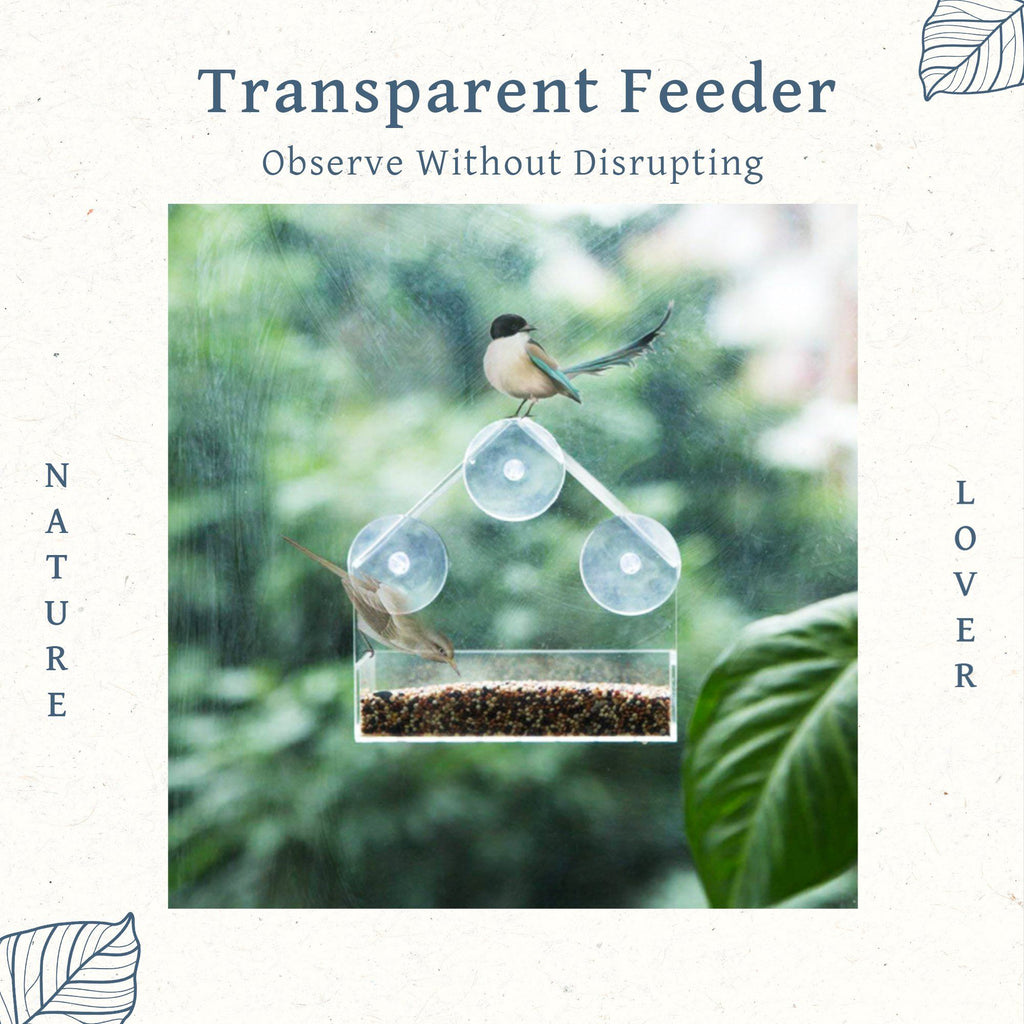 Transparent Suction Cup Bird Feeder