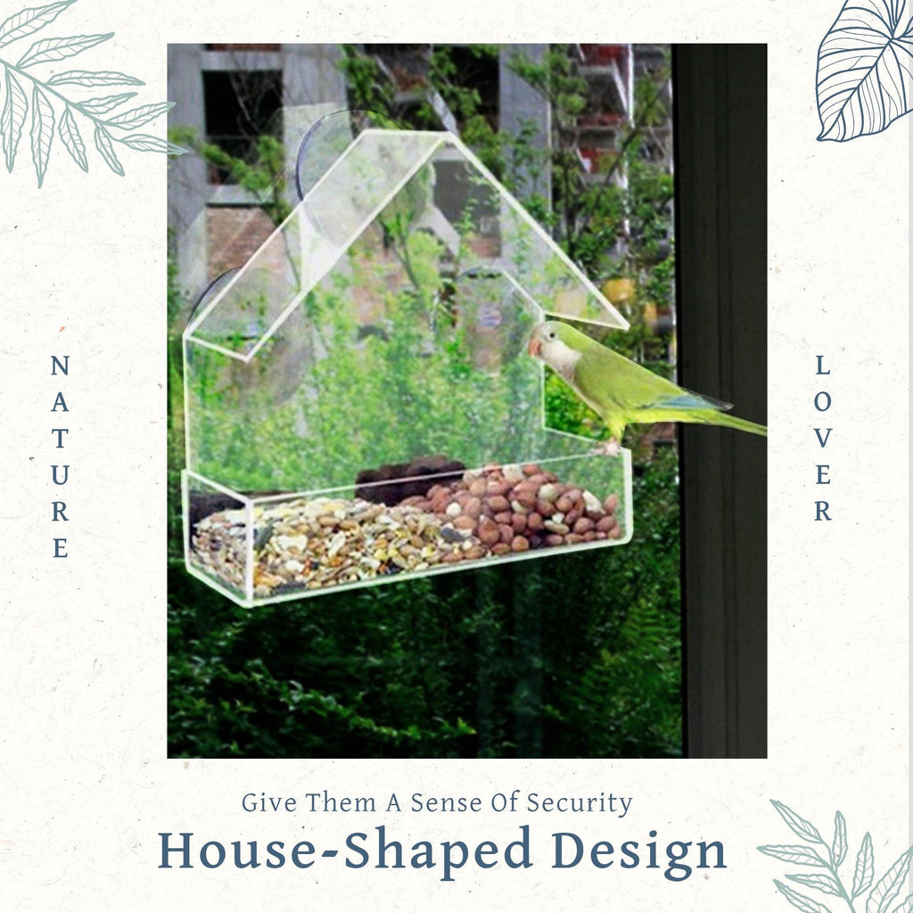 Transparent Suction Cup Bird Feeder