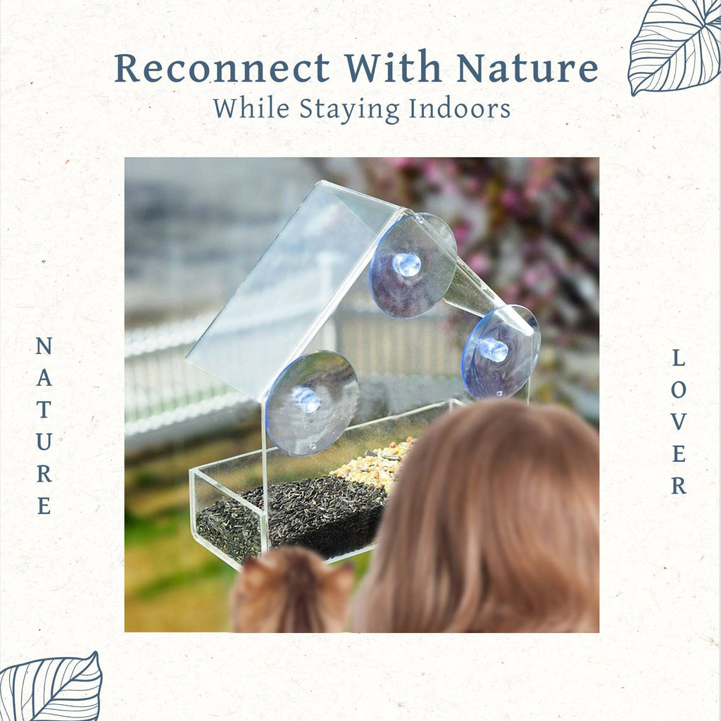 Transparent Suction Cup Bird Feeder