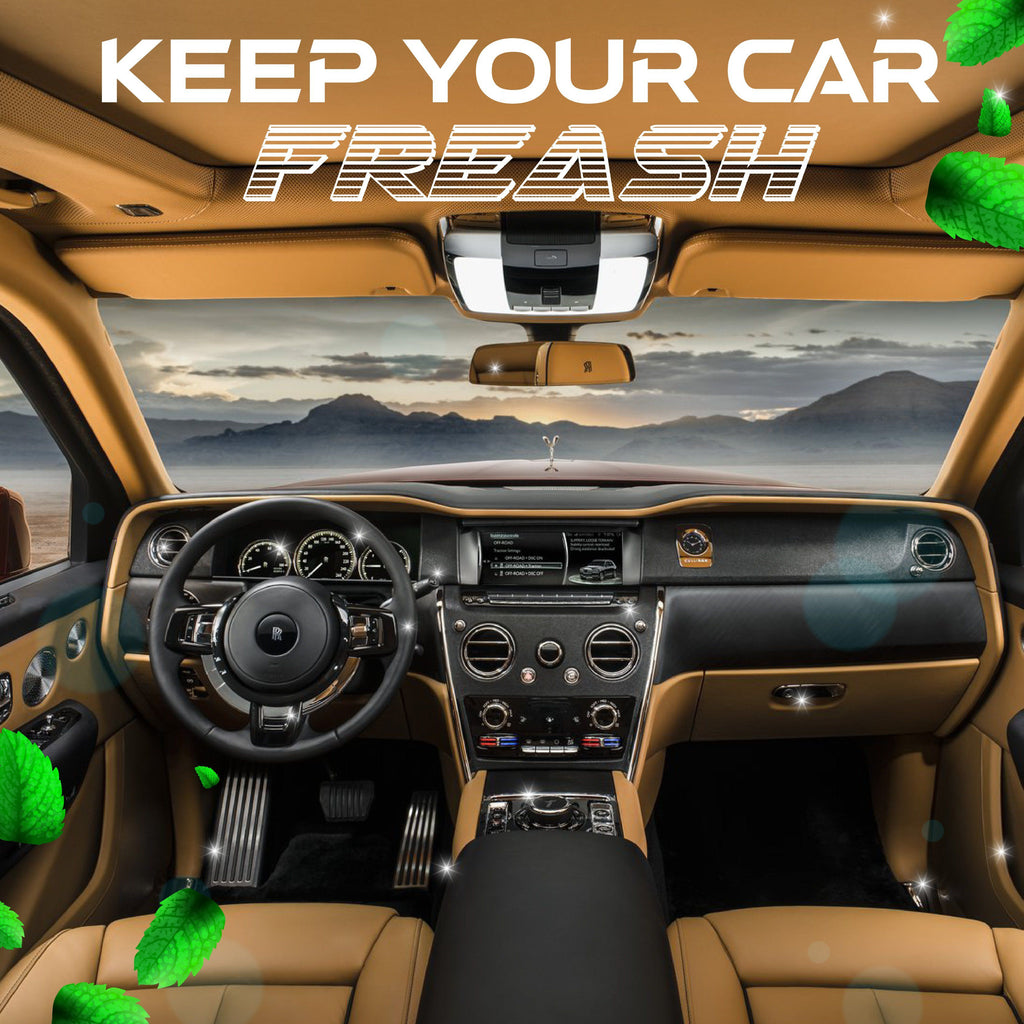 RinseUp Car Interior Agent