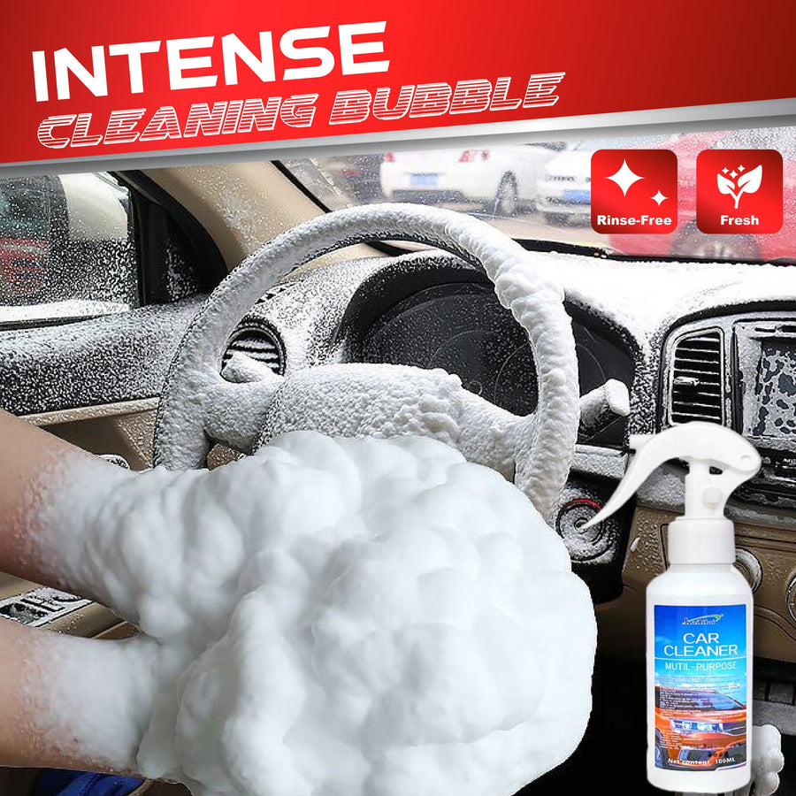 RinseUp Car Interior Agent