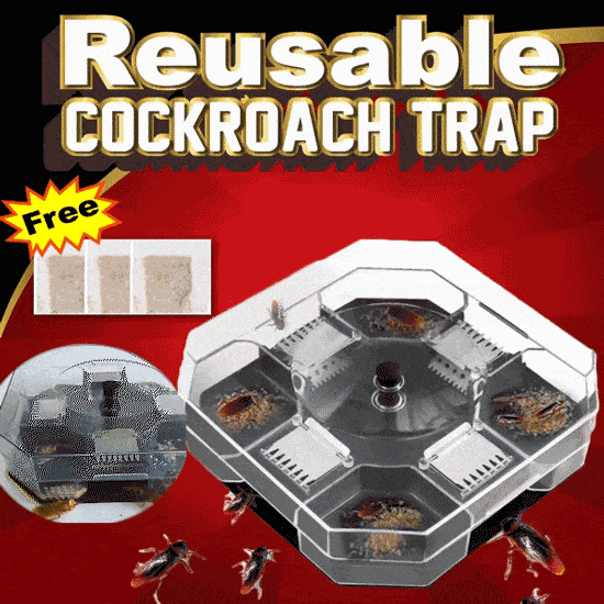 Reusable Cockroach Trap