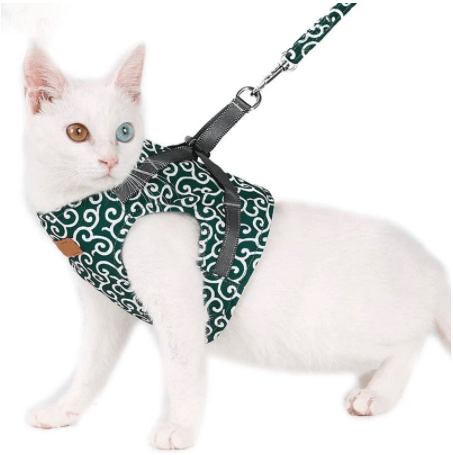Cat Vest Harness And Walking Leash