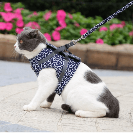 Cat Vest Harness And Walking Leash