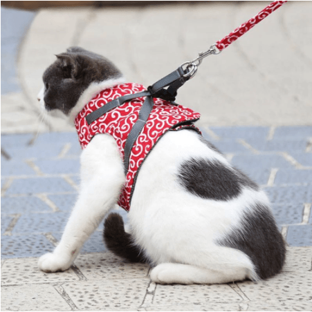 Cat Vest Harness And Walking Leash