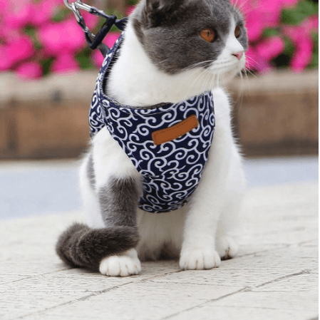 Cat Vest Harness And Walking Leash