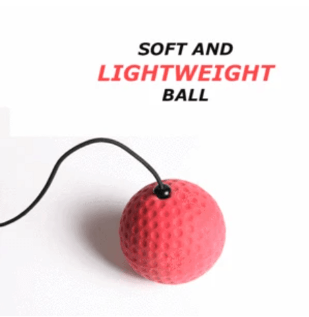 Fun Boxing Reflex Ball