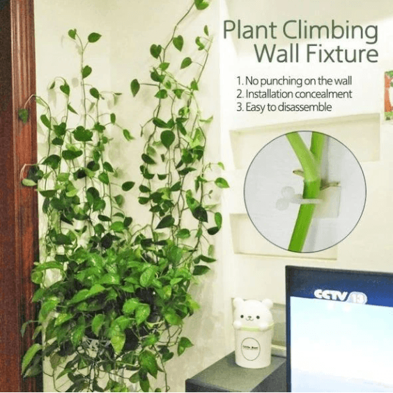 Plant Climbing Wall Fixtures