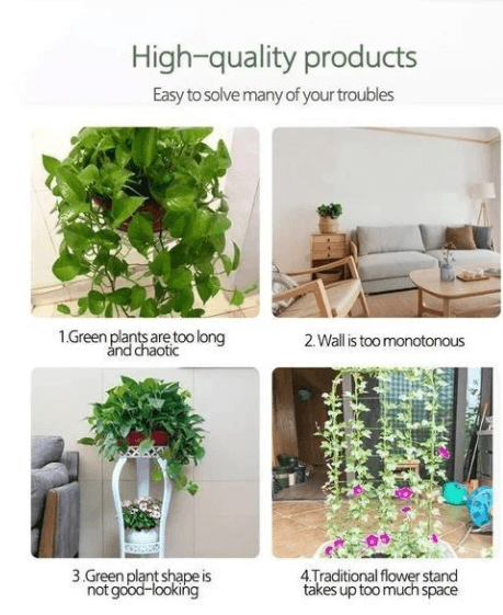 Plant Climbing Wall Fixtures