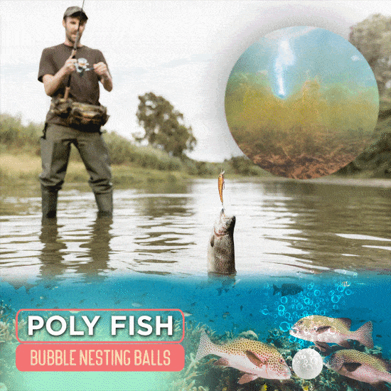 Poly Fish Bubble Nesting Balls - 4PCS