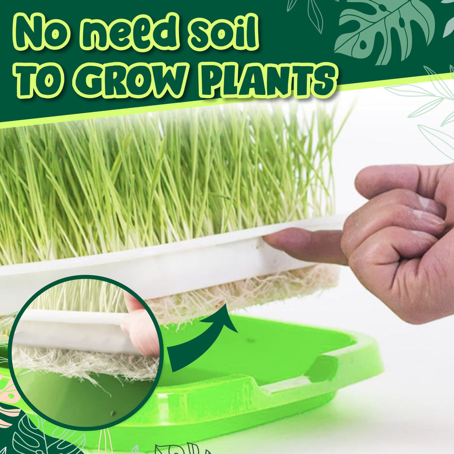 Soilless Rapid Seedling Double-Layered Planting Tray
