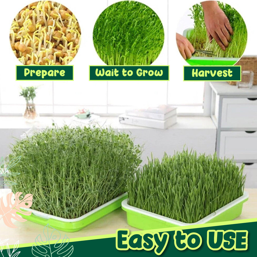 Soilless Rapid Seedling Double-Layered Planting Tray