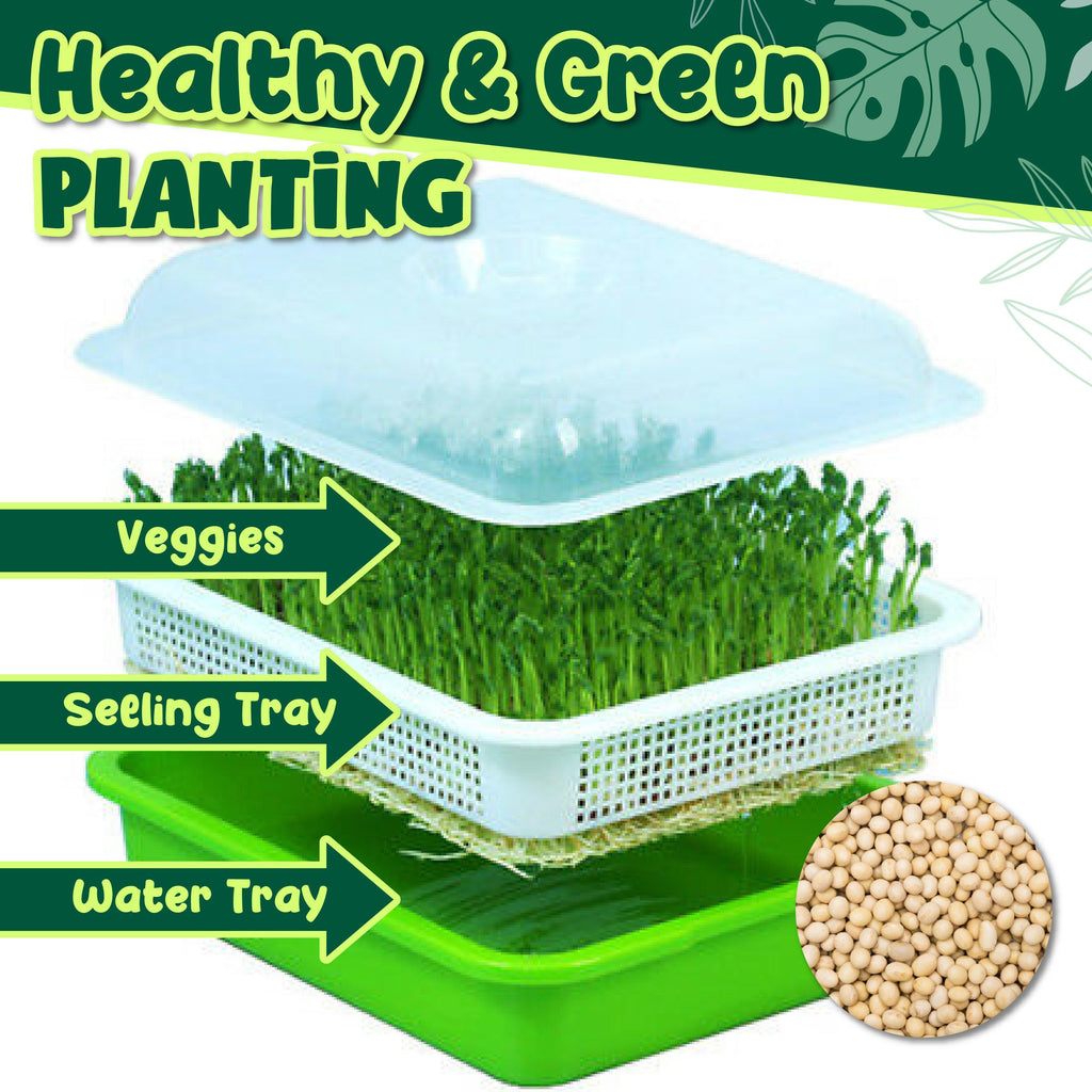 Soilless Rapid Seedling Double-Layered Planting Tray