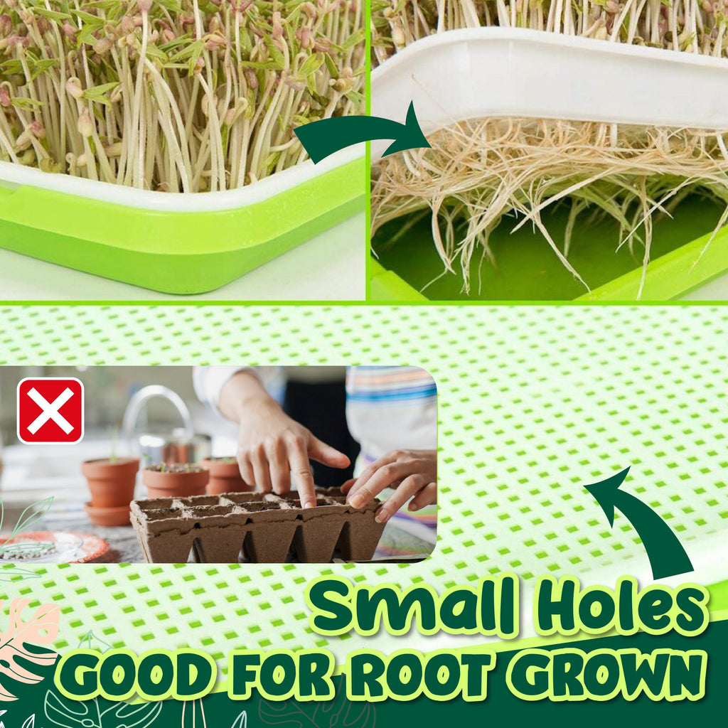Soilless Rapid Seedling Double-Layered Planting Tray