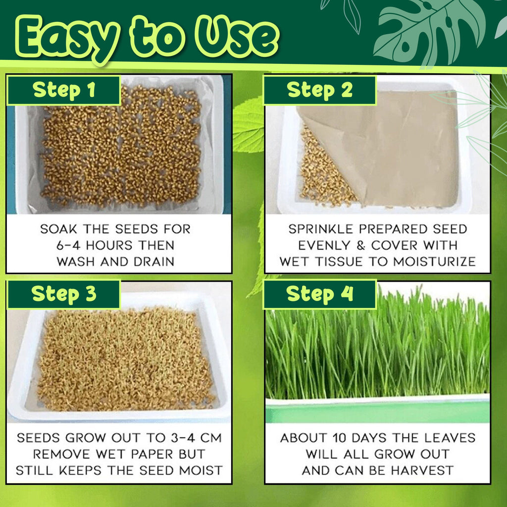 Soilless Rapid Seedling Double-Layered Planting Tray