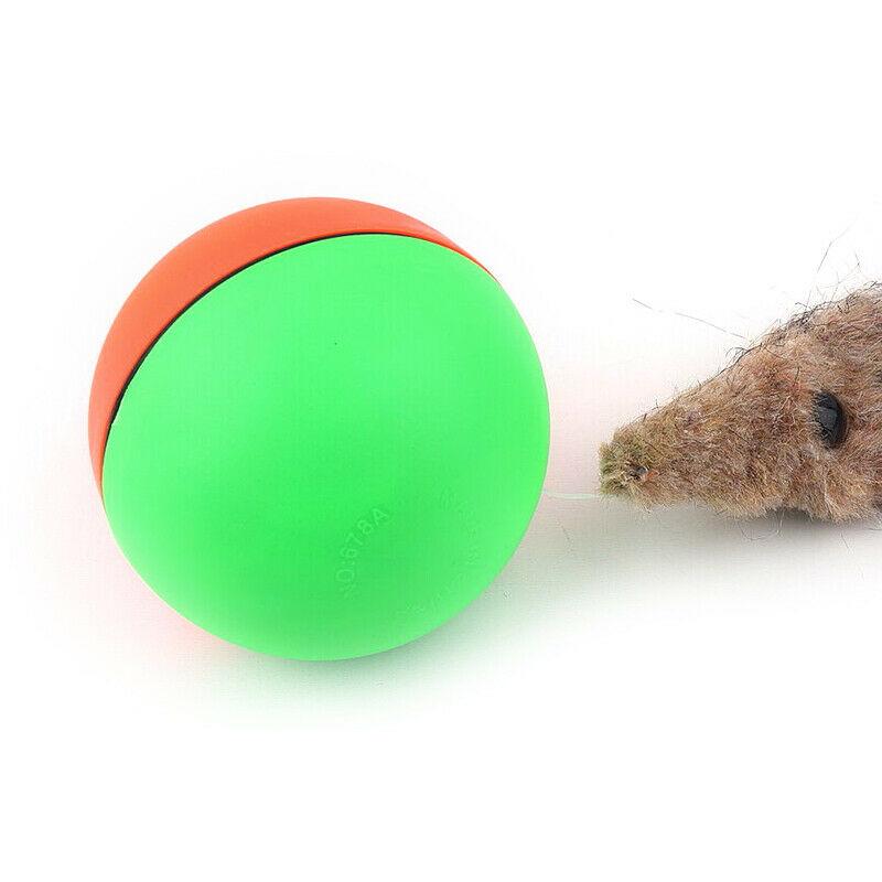 BeaverBall™ Interactive Pet Toy