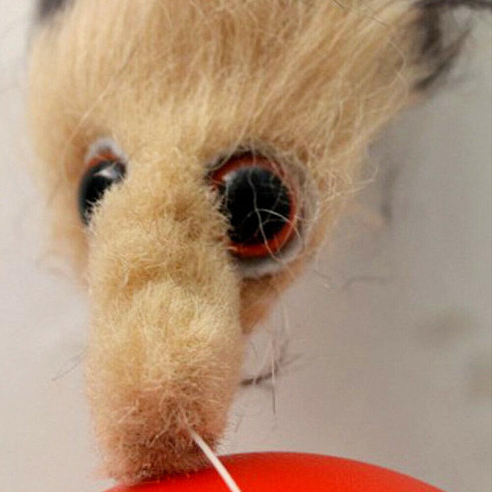 BeaverBall™ Interactive Pet Toy