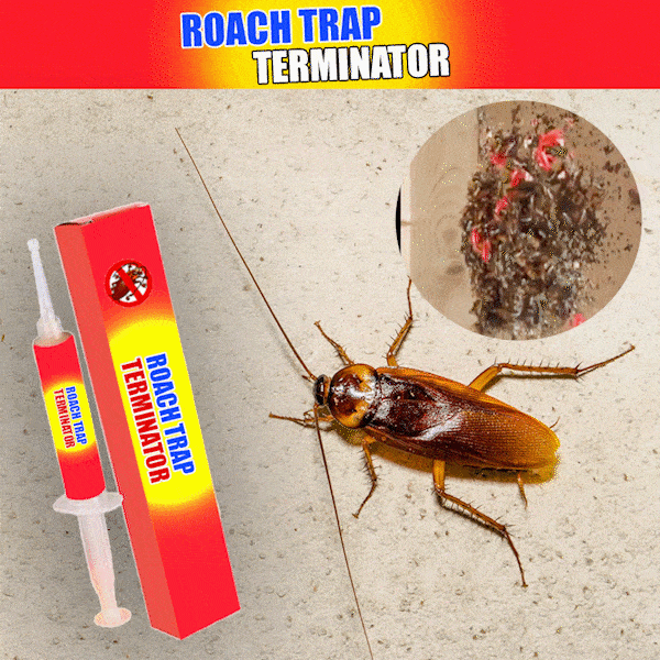 Roach Trap Terminator