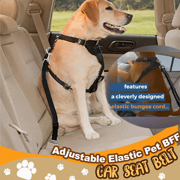 Adjustable Elastic Pet BFF Car Seat Belt