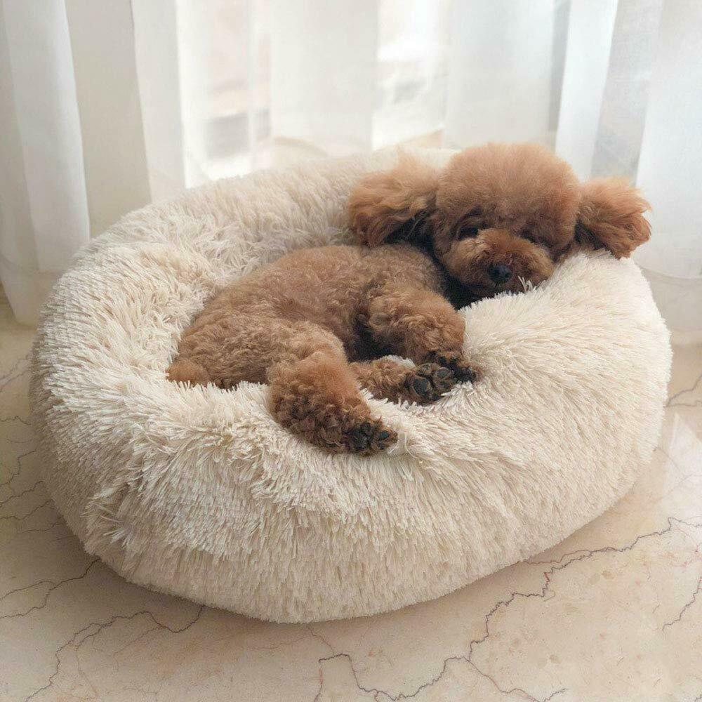 Absolut Luxurious Soothing Bed