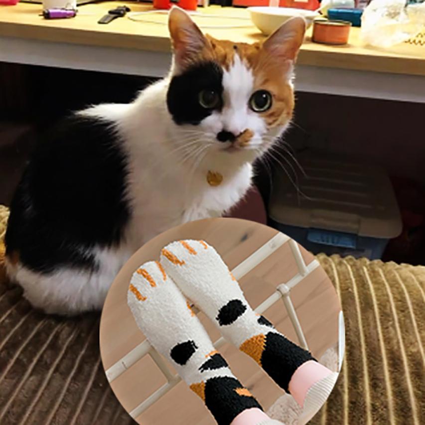 Winter Cat Claws Socks
